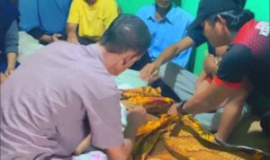 Pria Tewas Kesetrum Kena Jaringan Listrik