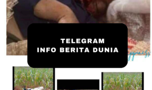 Pedagang Online Shop di Lampung Hilang Saat Antar COD Jasad Ditemukan Dimutilasi Dalam Karung!