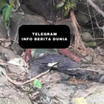 Penemuan Mayat di Rejang Lebong, Sebelumnya Ada yang Melapor Kehilangan Anggota Keluarga!