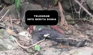 Penemuan Mayat di Rejang Lebong, Sebelumnya Ada yang Melapor Kehilangan Anggota Keluarga!