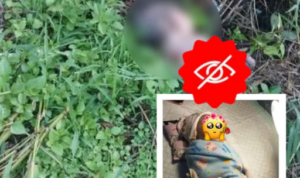 Penemuan Sesosok Bayi Perempuan Disemak Belukar!
