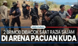6 days ago RRI Amankan Pacuan Kuda di Sape, Dua Brimob ... 2 Brimob di Bima Dibacok Saat Razia ... 3 days ago Detikcom 2 Brimob di Bima Dibacok Saat Razia ... Amankan Pacuan Kuda di Sape, Dua Brimob ... RRI Amankan Pacuan Kuda di Sape, Dua Brimob ... Amankan Pacuan Kuda di Sape, Dua Brimob ... RRI Amankan Pacuan Kuda di Sape, Dua Brimob ... Amankan Pacuan Kuda di Sape, Dua Brimob ... RRI Amankan Pacuan Kuda di Sape, Dua Brimob ... Amankan Pacuan Kuda di Sape, Dua ... 23 hours ago realita.co Amankan Pacuan Kuda di Sape, Dua ... Turnamen pacuan kuda di Desa Buncu ... 2 days ago TikTok Turnamen pacuan kuda di Desa Buncu ... Arena Pacuan Kuda Dua anggota Brimob ... · 2 days ago Instagram Arena Pacuan Kuda Dua anggota Brimob ... Anggota Brimob Dibacok realita.co Anggota Brimob Dibacok Pacuan Kuda Desa Buncu, Kecamatan Sape ... 2 days ago Media Dinamika Global Pacuan Kuda Desa Buncu, Kecamatan Sape ... Amankan Pacuan Kuda di Sape, Dua Brimob ... a day ago RRI Amankan Pacuan Kuda di Sape, Dua Brimob ... Anggota Brimob Dibacok Saat Amankan ... 2 days ago Ambisius News Anggota Brimob Dibacok Saat Amankan ... Amankan Pacuan Kuda di Sape, Dua ... 11 hours ago realita.co Amankan Pacuan Kuda di Sape, Dua ... Amankan Pacuan Kuda di Sape, Dua Brimob ... a day ago RRI Amankan Pacuan Kuda di Sape, Dua Brimob ... Amankan Pacuan Kuda di Sape, Dua ... a day ago realita.co Amankan Pacuan Kuda di Sape, Dua ... Anggota Brimob Dibacok ... 3 days ago Barometer99 Anggota Brimob Dibacok ... 2 Anggota Brimob di Bima Dibacok Warga ... 2 days ago Kumparan 2 Anggota Brimob di Bima Dibacok Warga ... Pacuan Kuda Pantai Sape Bima ... · 3 days ago Instagram Pacuan Kuda Pantai Sape Bima ... Anggota Brimob Dibacok 10 hours ago realita.co Anggota Brimob Dibacok RRI.co.id - Amankan Pacuan Kuda di Sape ... a day ago RRI RRI.co.id - Amankan Pacuan Kuda di Sape ... Anggota Brimob Dibacok Saat Amankan ... 2 days ago Ambisius News Anggota Brimob Dibacok Saat Amankan ... Amankan Pacuan Kuda di Sape, Dua ... 20 hours ago realita.co Amankan Pacuan Kuda di Sape, Dua ... The rest of the results might not be what you're looking for. See more anyway Lombok Post 3 days ago Dua Anggota Brimob Dibacok Saat Amankan Pacuan Kuda di Bima, Begini Kronologinya! - Lombok Post Dua Anggota Brimob Dibacok Saat Amankan Pacuan Kuda di Bima, Begini Kronologinya!